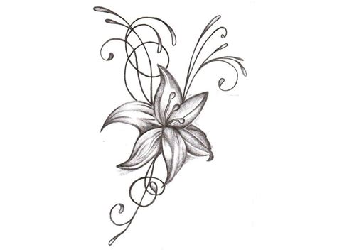 Jasmine Flower Sketch at PaintingValley.com | Explore collection of ...