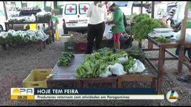 Bom Dia Pará Produtores da agricultura familiar retornam