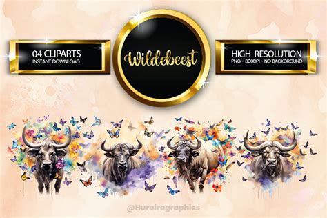 Wildebeest Clipart Bundle 04 Variations Graphic By Hurairagraphics