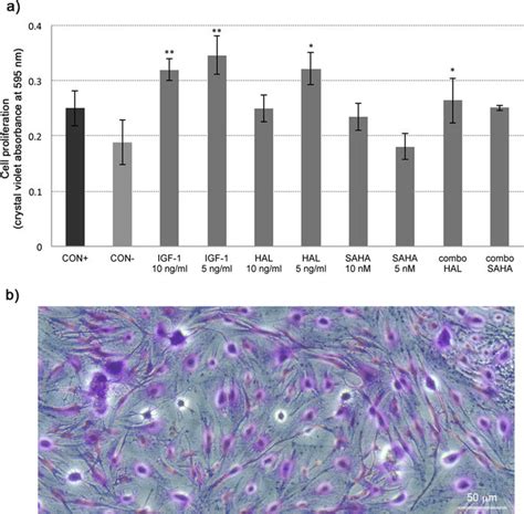 Crystal Violet Proliferation Assay A Proliferation Rates Of The