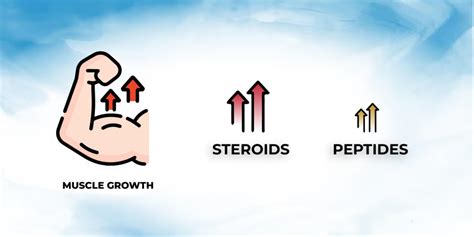 Peptides Vs Steroids Which Is Better Muscle Gain Fat Loss