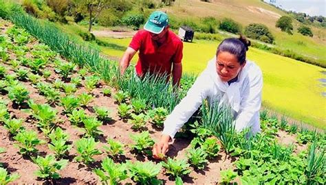 El Reto Una Agricultura Sustentable Productiva E Inclusiva