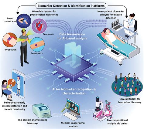 Schematic Representation Of The Biomarker Detection And Identification