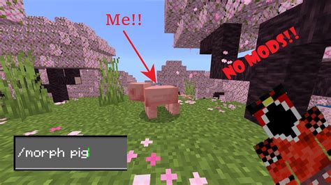 How To Morph Into Any Mob In Minecraft Bedrock YouTube