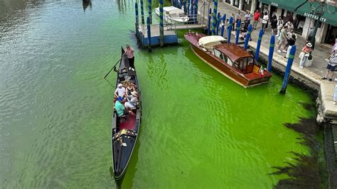 Water in Venice canal turns fluorescent green. Here's why - Worldnews.com