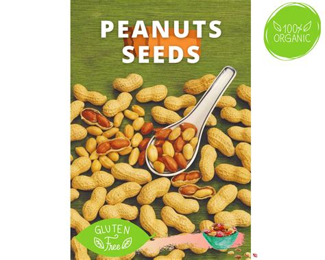 Peanut Seeds for Planting Peanut Seeds For Sale Perennial 2021 | Etsy