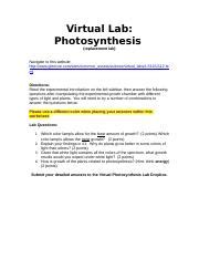 Virtual Photosynthesis Replacement Lab Rtf Virtual Lab