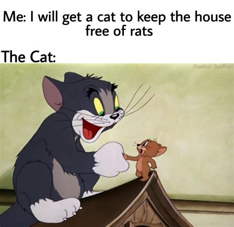 I Think Its Wholesome Meme For Tom And Jerry Lovers R Wholesomememes