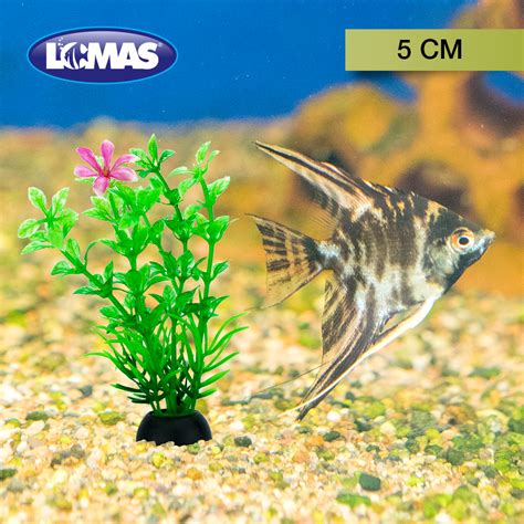 Lomas Plantas De Pl Stico Surtidas De Cent Metros Para Acuario Con