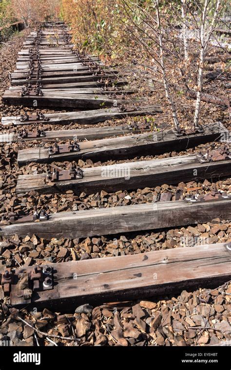 Ancienne Voie De Chemin De Fer Voie Ferroviaire L Abandon Et Envahi