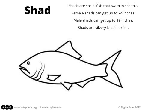 Alexander Adaire Shad | Art Sphere Inc.