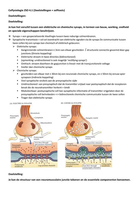 Celfysiologie Zso Doelstellingen Celfysiologie Zso