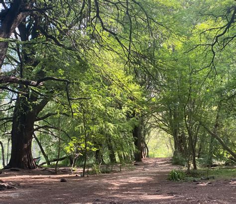 Continúa disputa por invasión de particular de parque Los Sabinos en