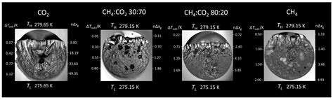 mechanisms growth rates  morphologies  gas hydrates  carbon