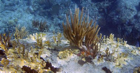 Autour des fonds marins une bataille géopolitique intense