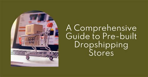 A Comprehensive Guide To Pre Built Dropshipping Stores Ecomprofithub