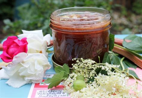 Gooseberry Rhubarb And Elderflower Jam By Eat Surrey Blogger Shirlee Posner