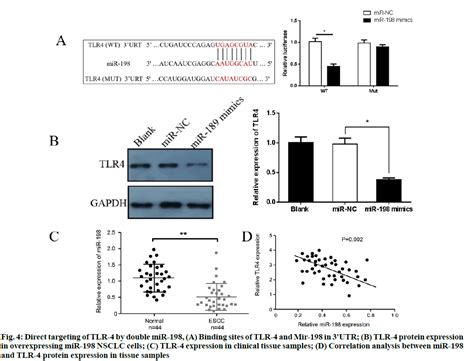 Microrna 198 Inhibits Invasion And Metastasis In Non Small Cell Lung