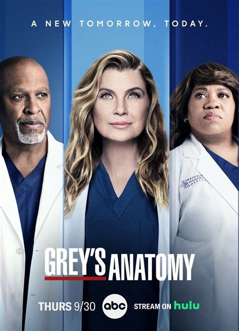 Grey S Anatomy Temporada 18 SensaCine Mx