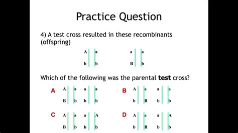 10 2 Practice Question Recombination YouTube