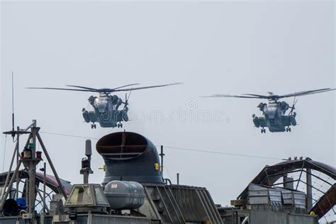 Dos Helic Pteros Del Transporte De La Pesado Elevaci N Del Semental Del