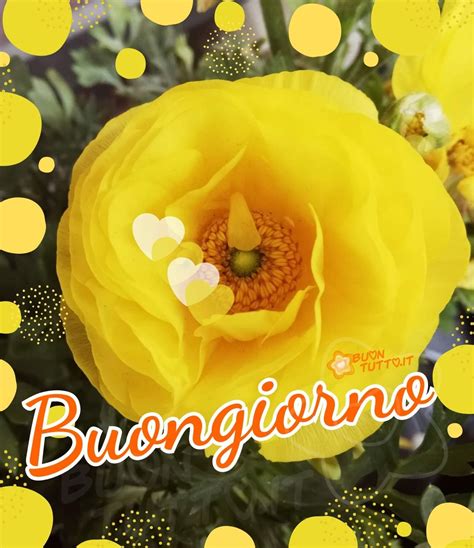 Buongiorno Con I Fiori Buontutto