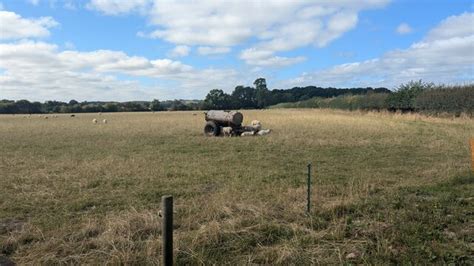 Water Bowser And Sheep Near Wheatlands Sandy Gerrard Cc By Sa