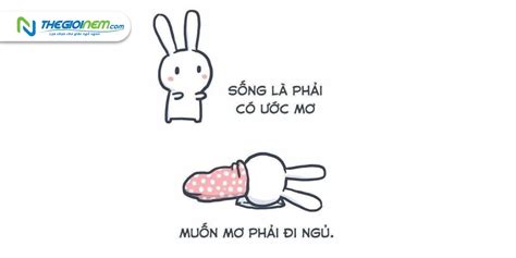 Top 20 ảnh Meme Chúc Ngủ Ngon độc đáo