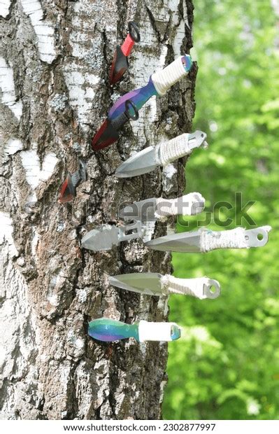 Sports Knife Throwing Competitions Stock Photo 2302877997 | Shutterstock