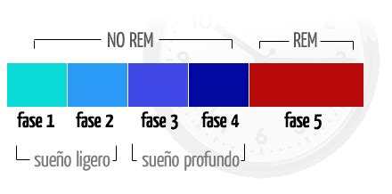 Los Sue Os Fase Rem Y Nrem Emezeta