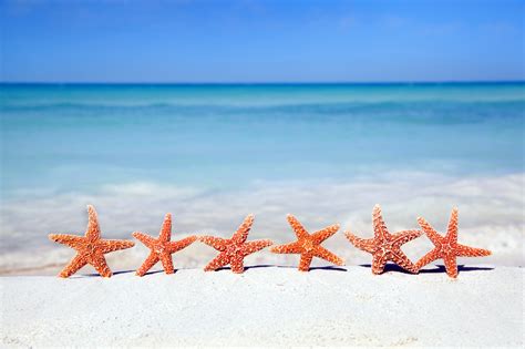 Starfish HD Desktop