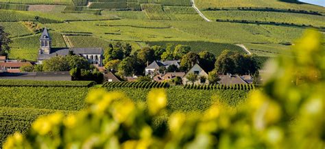 Região De Champagne - Viagens e muitas histórias – Região de Champagne, França | Opinião ...