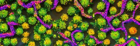 Solarpunk synthetic plants blooming, close-up from | Stable Diffusion ...