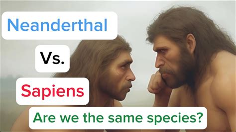 Neanderthal Vs Sapiens Are We The Same Species Detailed Review