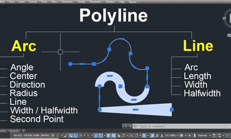 Autocad Polylines Faqs Questions And Answers Cad Academy