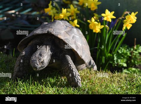 Telford Shropshire 27th Feb 2019 Uk Weather Early Riser The