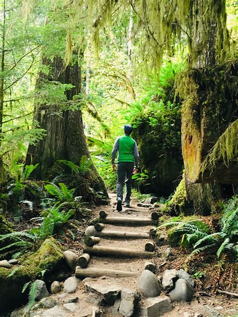 Coastal Forest Tours Salish Sea Bellingham