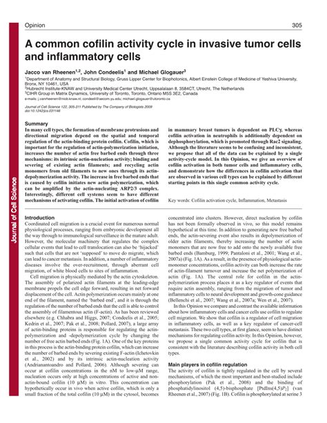 Pdf A Common Cofilin Activity Cycle In Invasive Tumor Cells And