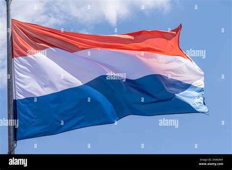 Dutch National Flag Waving On Blue Sky Background Kingdom Of The