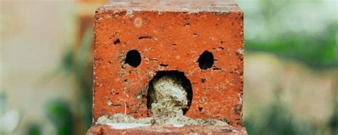 O Que é A Pareidolia 5 Fotos Para Você Entender O Fenômeno Mega Curioso