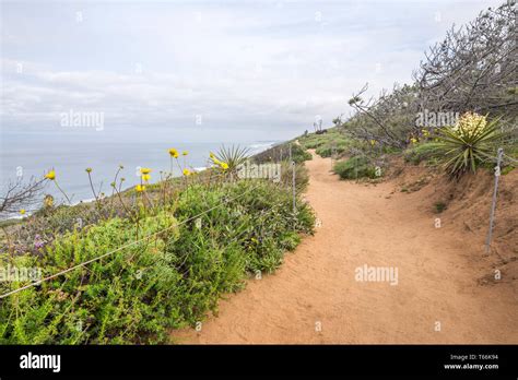 Guy Fleming Trail at Torrey Pines State Natural Reserve. La Jolla ...