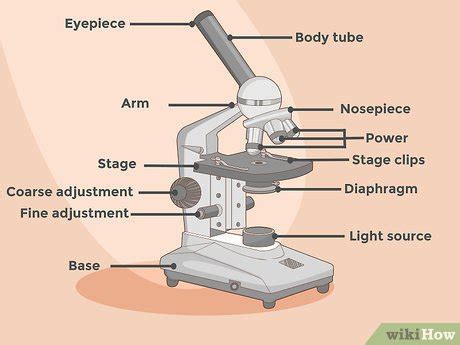 How to Use a Microscope (with Pictures) - wikiHow