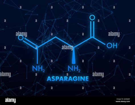 Molecular Biology Asparagine L Asparagine Asn N Amino Acid Molecule