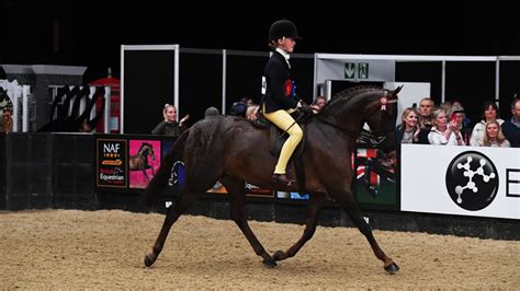 Maxi Cob Curious George Books Hoys Ticket At Royal Highland