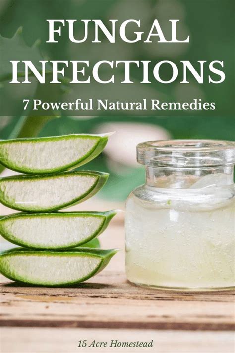 Fungal Infections 7 Powerful Natural Remedies Natural Remedies