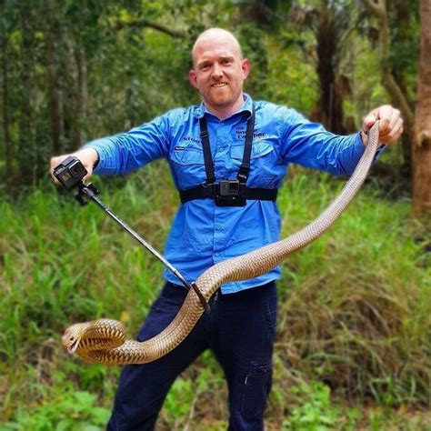 Snake Catching Tours With Sunshine Coast Snake Catchers 247