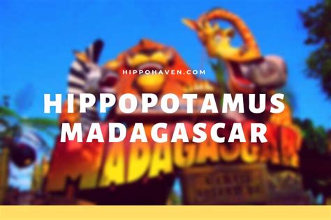 Hippopotamus Madagascar Movie Hippo Name And Fame Hippo Haven
