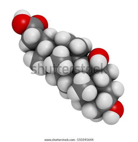 Ursodiol Ursodeoxycholic Acid Udca Gallstone Treatment Stock