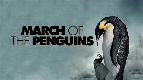 Watch March of the Penguins | Prime Video