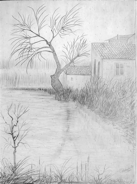 Disegni A Matita Di Paesaggi Naturali Disegno Paesaggistico Facile